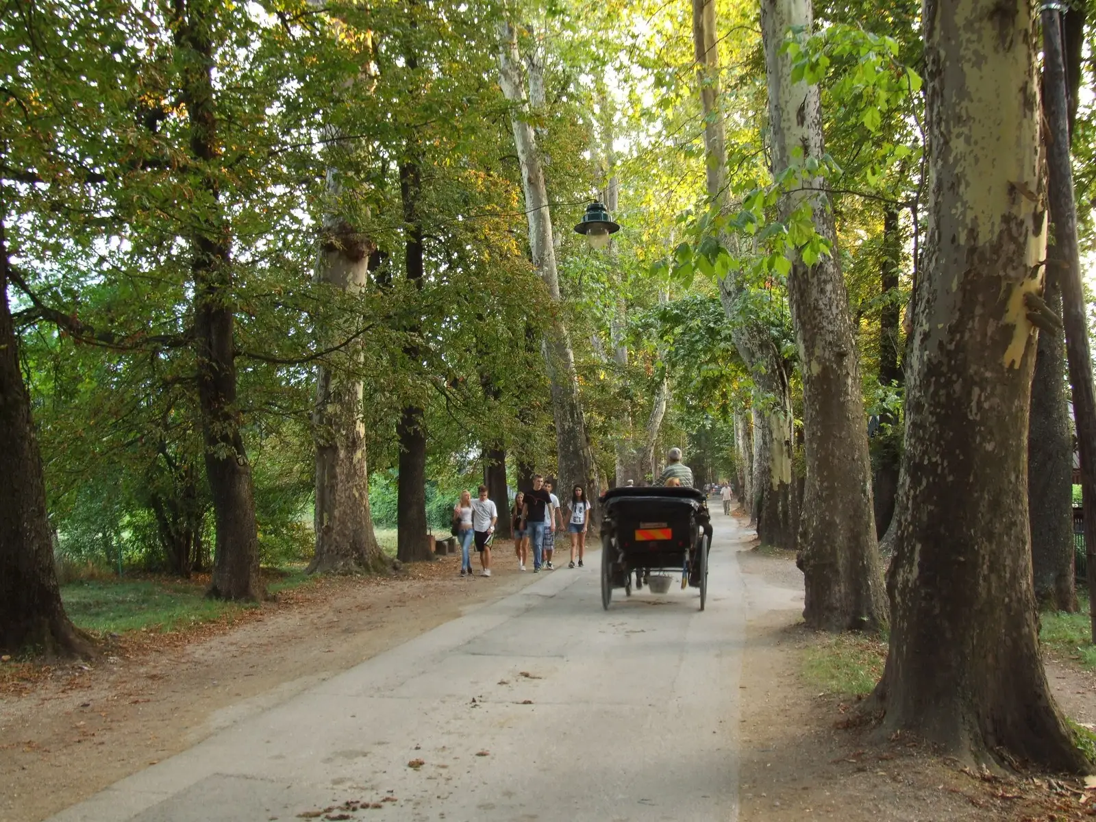 Velika Aleja, Ilidža